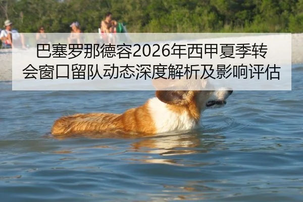 巴塞罗那德容2026年西甲夏季转会窗口留队动态深度解析及影响评估