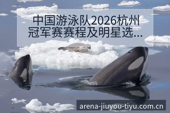 中国游泳队2026杭州冠军赛赛程及明星选手表现分析风险观 - 九游体育APP